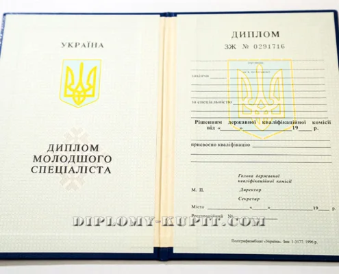 диплом-(2)
